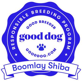 boomlay-shiba-badge